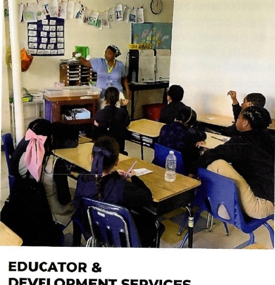 Educator & Development Services
